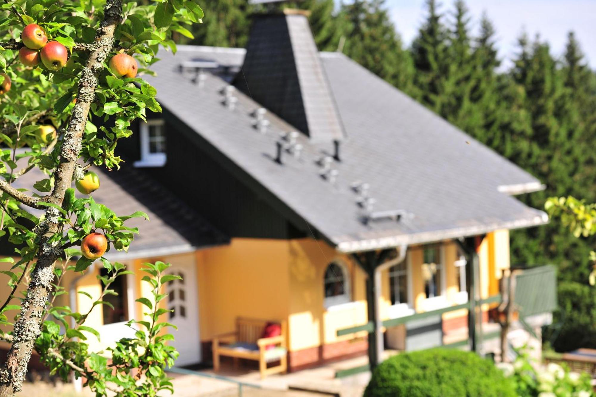 Exklusives Ferienhaus "Waldzauber" Ruhe Und Natur Pur Am Waldrand Geniessen Schoenheide Екстер'єр фото